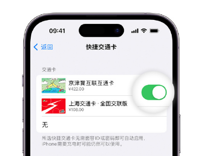 南区街道apple维修点分享iPhone上更换Apple Pay快捷交通卡手绘卡面 