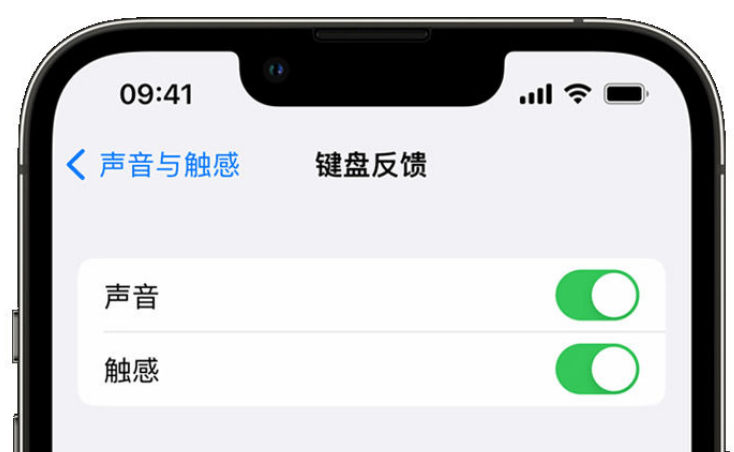 南区街道苹果手机维修分享iPhone 14触感键盘使用方法 