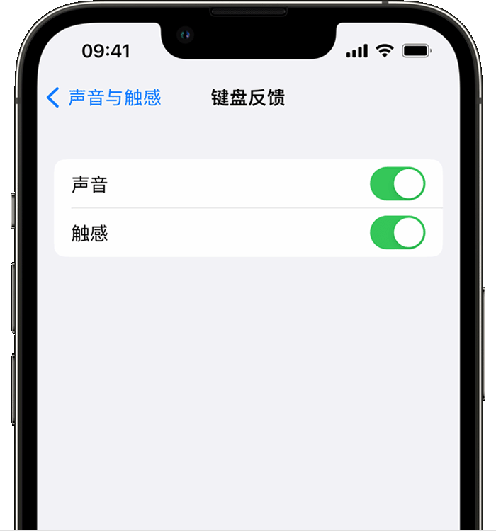 南区街道苹果14维修店分享如何在 iPhone 14 机型中使用触感键盘 