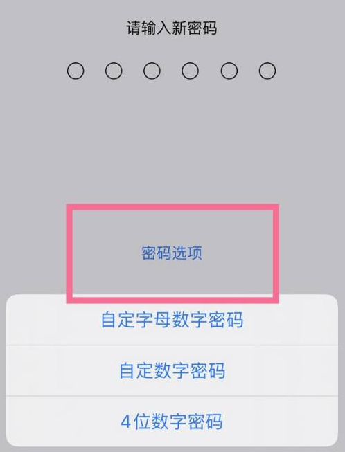 南区街道苹果14维修分享iPhone 14plus设置密码的方法 