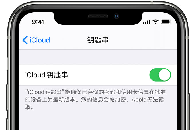 南区街道苹果手机维修分享在 iPhone 上开启 iCloud 钥匙串之后会储存哪些信息 